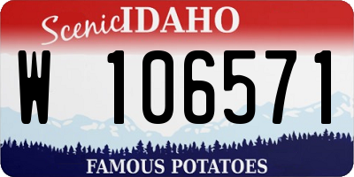 ID license plate W106571