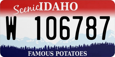 ID license plate W106787