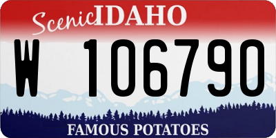 ID license plate W106790