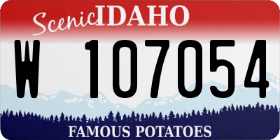 ID license plate W107054