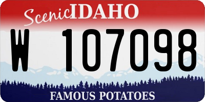 ID license plate W107098