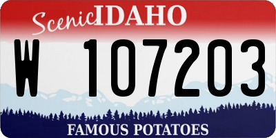 ID license plate W107203