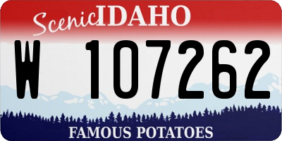 ID license plate W107262