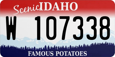 ID license plate W107338