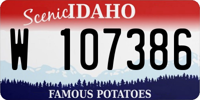 ID license plate W107386