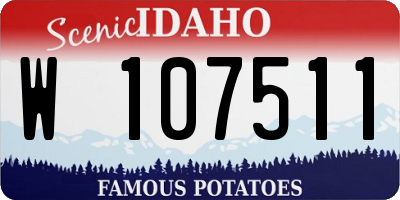 ID license plate W107511