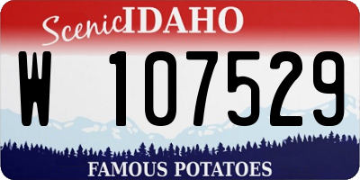 ID license plate W107529