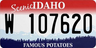 ID license plate W107620