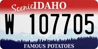 ID license plate W107705