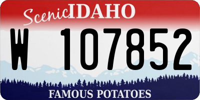 ID license plate W107852