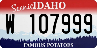 ID license plate W107999