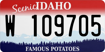 ID license plate W109705