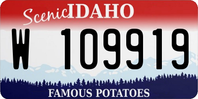 ID license plate W109919