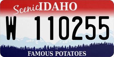 ID license plate W110255