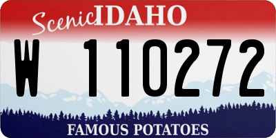 ID license plate W110272