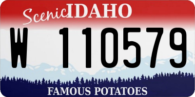 ID license plate W110579
