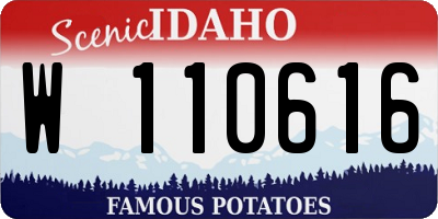 ID license plate W110616