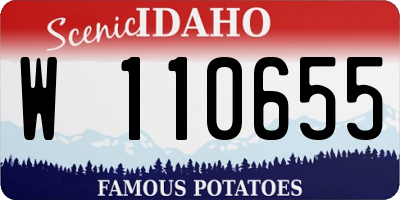 ID license plate W110655