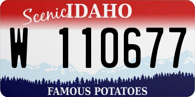 ID license plate W110677