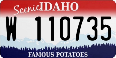 ID license plate W110735