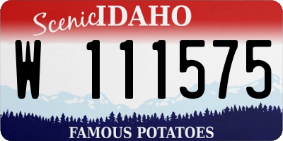 ID license plate W111575