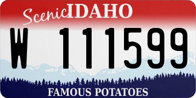 ID license plate W111599