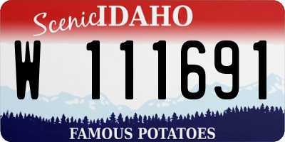 ID license plate W111691