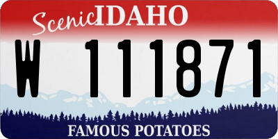 ID license plate W111871