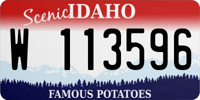 ID license plate W113596