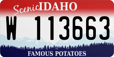 ID license plate W113663