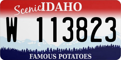ID license plate W113823