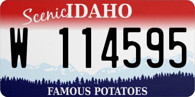 ID license plate W114595