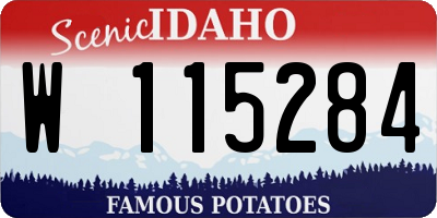 ID license plate W115284