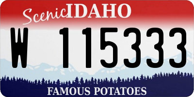ID license plate W115333