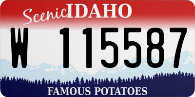 ID license plate W115587