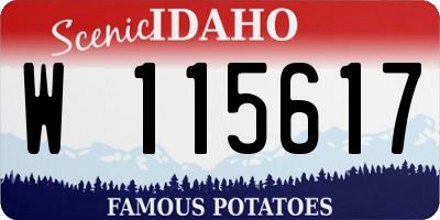 ID license plate W115617