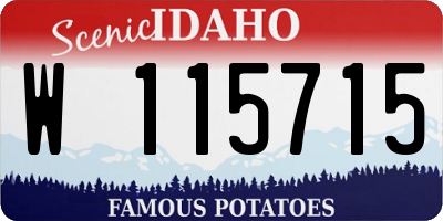 ID license plate W115715
