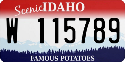 ID license plate W115789