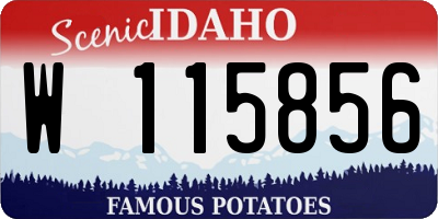 ID license plate W115856