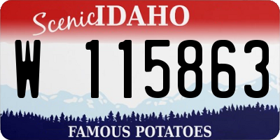 ID license plate W115863
