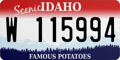 ID license plate W115994
