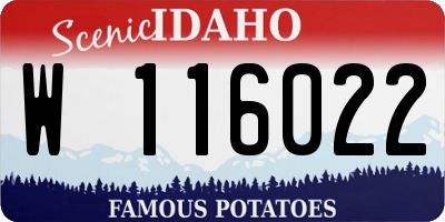 ID license plate W116022