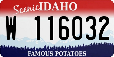 ID license plate W116032