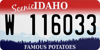 ID license plate W116033