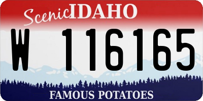 ID license plate W116165