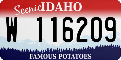 ID license plate W116209