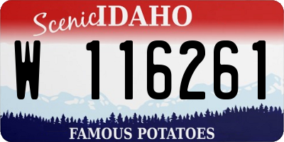 ID license plate W116261