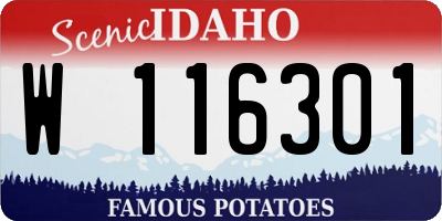 ID license plate W116301