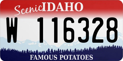 ID license plate W116328