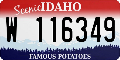 ID license plate W116349